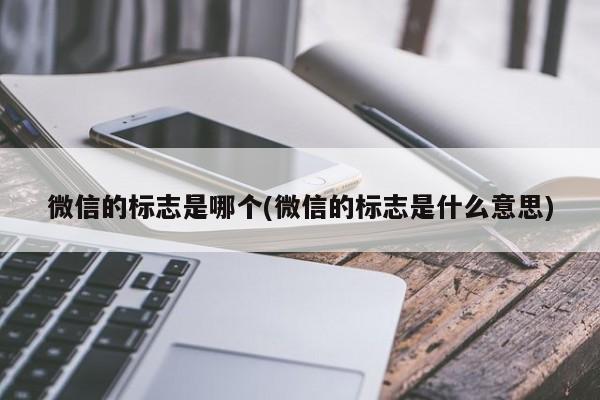 微信的标志是哪个(微信的标志是什么意思)  第1张