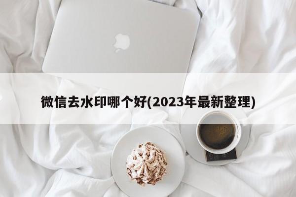 微信去水印哪个好(2023年最新整理)  第1张