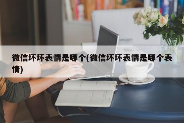 微信坏坏表情是哪个(微信坏坏表情是哪个表情)  第1张