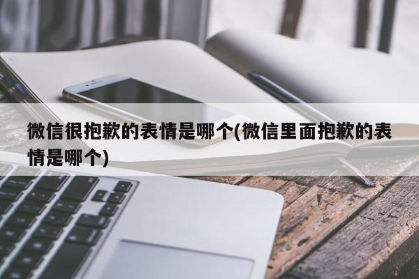 微信很抱歉的表情是哪个(微信里面抱歉的表情是哪个)  第1张