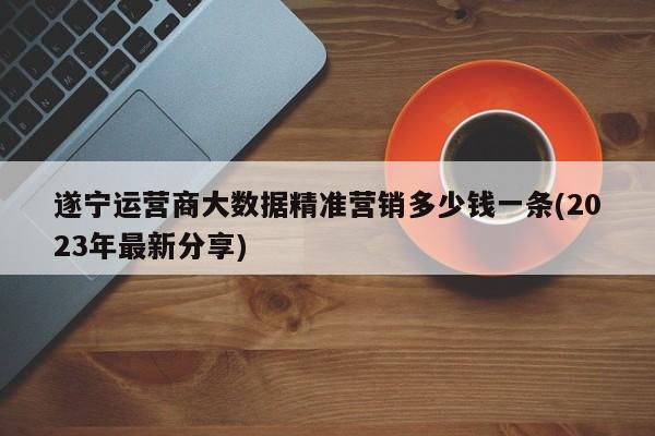 遂宁运营商大数据精准营销多少钱一条(2023年最新分享)  第1张