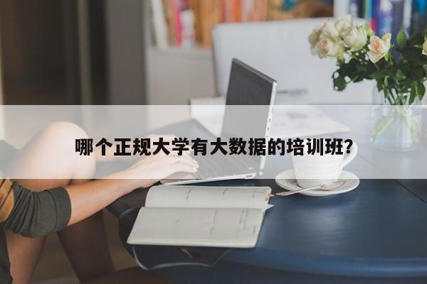 哪个正规大学有大数据的培训班？  第1张