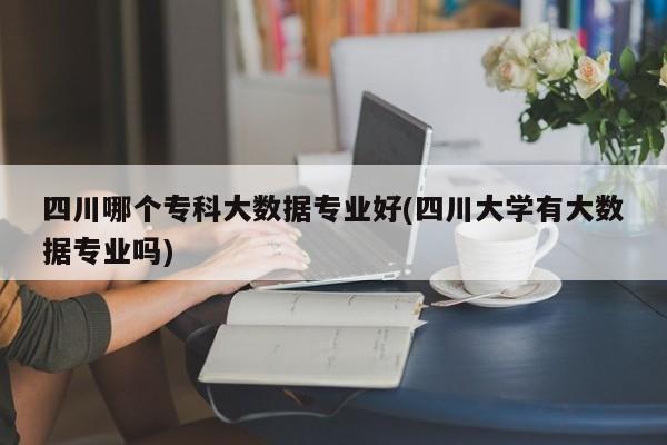 四川哪个专科大数据专业好(四川大学有大数据专业吗)  第1张