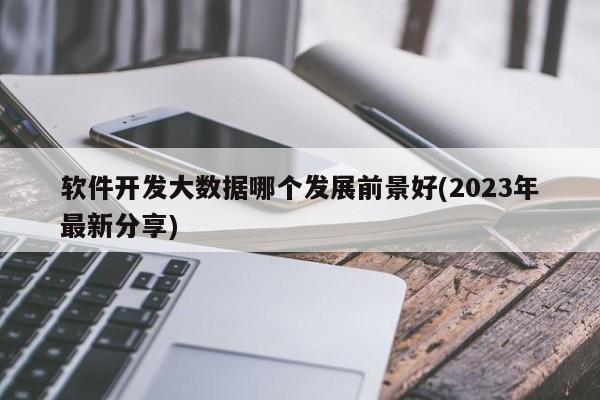 软件开发大数据哪个发展前景好(2023年最新分享)  第1张