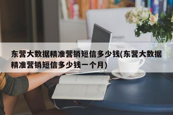 东营大数据精准营销短信多少钱(东营大数据精准营销短信多少钱一个月)  第1张