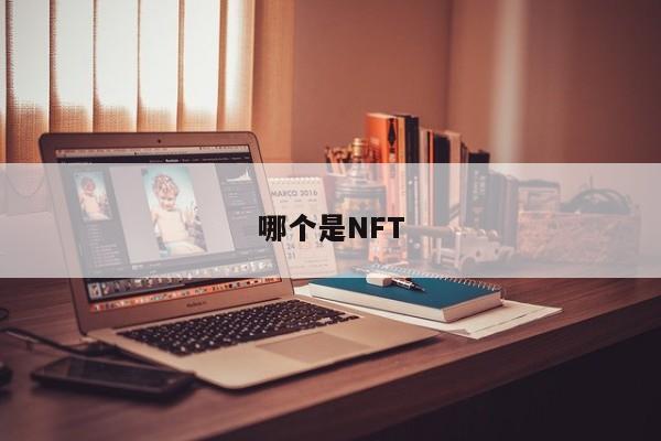 哪个是NFT