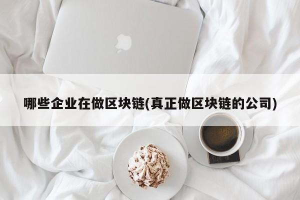 哪些企业在做区块链(真正做区块链的公司)