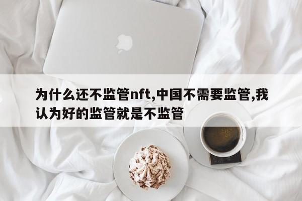 为什么还不监管nft,中国不需要监管,我认为好的监管就是不监管