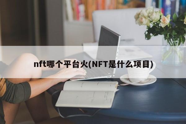 nft哪个平台火(NFT是什么项目)