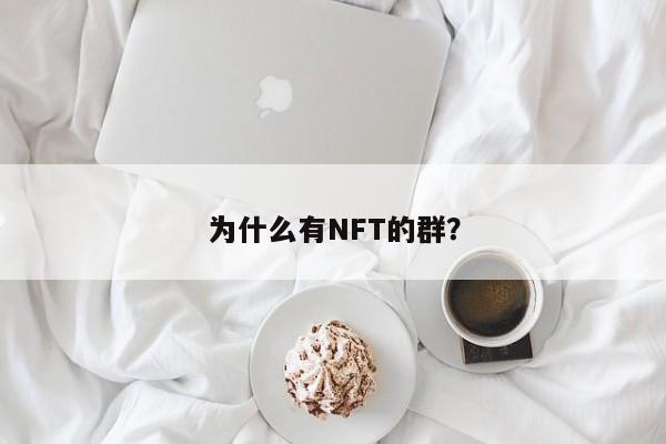 为什么有NFT的群？