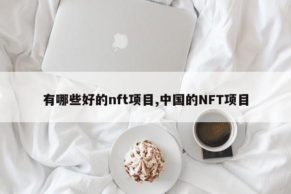 有哪些好的nft项目,中国的NFT项目