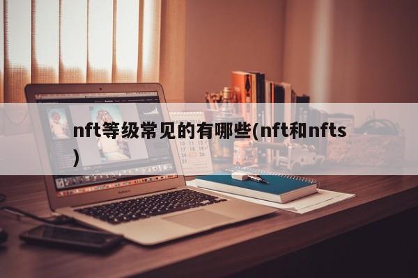 nft等级常见的有哪些(nft和nfts)