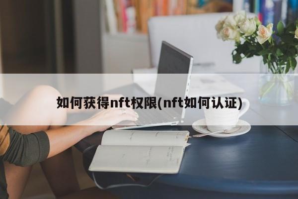 如何获得nft权限(nft如何认证)