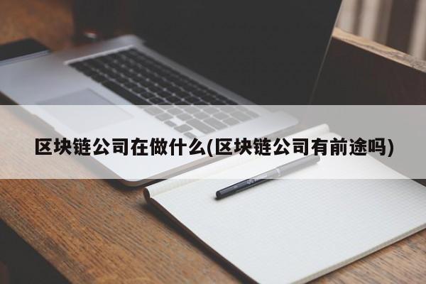 区块链公司在做什么(区块链公司有前途吗)