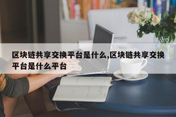 区块链共享交换平台是什么,区块链共享交换平台是什么平台