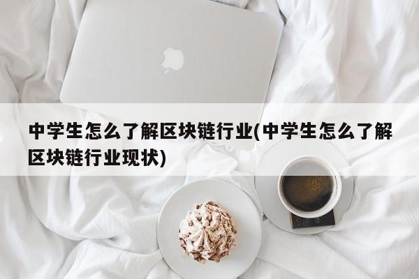 中学生怎么了解区块链行业(中学生怎么了解区块链行业现状)