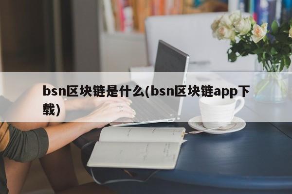 bsn区块链是什么(bsn区块链app下载)