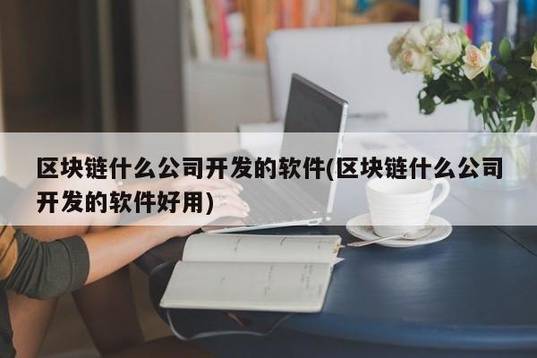 区块链什么公司开发的软件(区块链什么公司开发的软件好用)