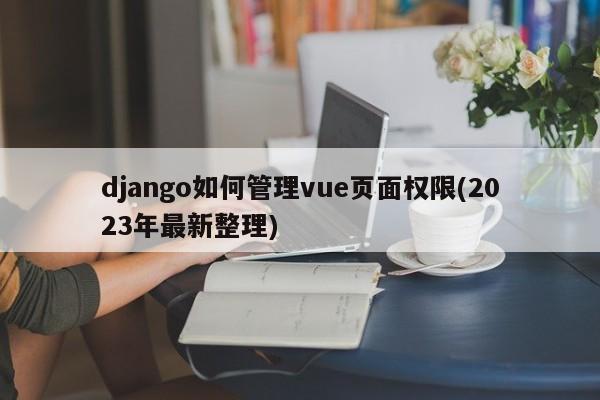 django如何管理vue页面权限(2023年最新整理)  第1张