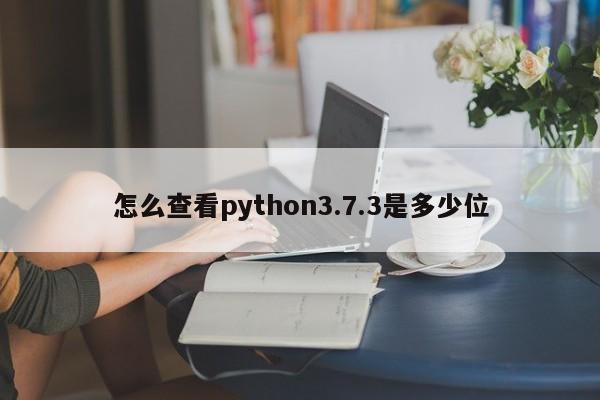 怎么查看python3.7.3是多少位  第1张