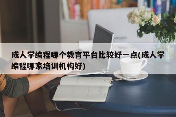 成人学编程哪个教育平台比较好一点(成人学编程哪家培训机构好)  第1张