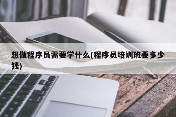 想做程序员需要学什么(程序员培训班要多少钱)  第1张