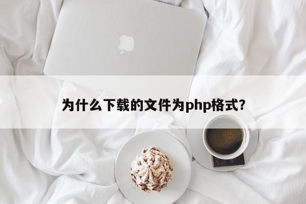 为什么下载的文件为php格式？  第1张