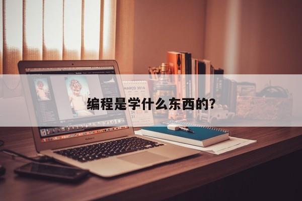 编程是学什么东西的？  第1张