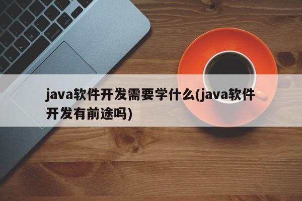 java软件开发需要学什么(java软件开发有前途吗)  第1张