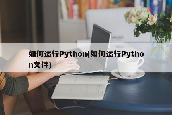 如何运行Python(如何运行Python文件)  第1张