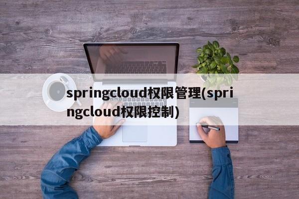 springcloud权限管理(springcloud权限控制)  第1张