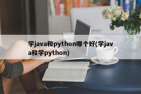 学java和python哪个好(学java和学python)  第1张