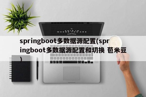 springboot多数据源配置(springboot多数据源配置和切换 苞米豆)  第1张