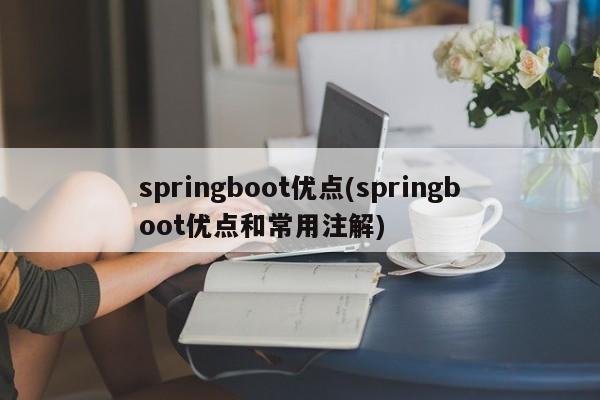 springboot优点(springboot优点和常用注解)  第1张