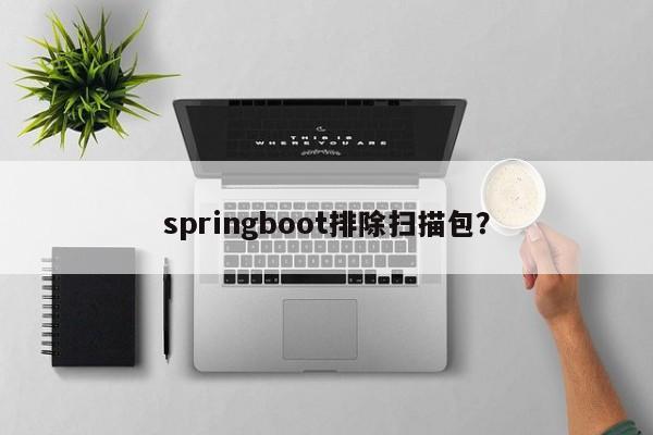 springboot排除扫描包？  第1张