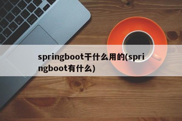 springboot干什么用的(springboot有什么)  第1张