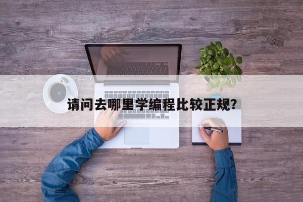 请问去哪里学编程比较正规？  第1张