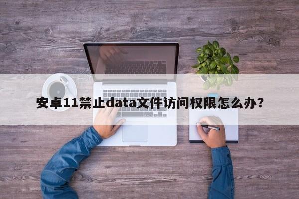 安卓11禁止data文件访问权限怎么办？  第1张