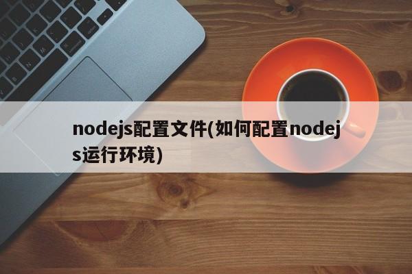 nodejs配置文件(如何配置nodejs运行环境)  第1张