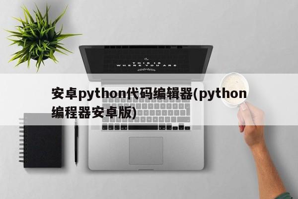 安卓python代码编辑器(python编程器安卓版)  第1张