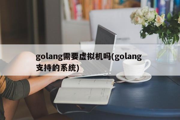 golang需要虚拟机吗(golang 支持的系统)  第1张