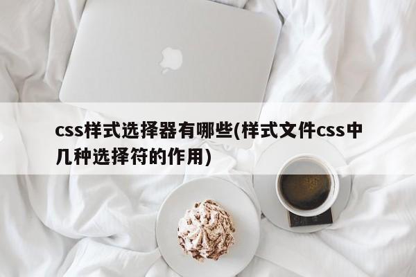 css样式选择器有哪些(样式文件css中几种选择符的作用)  第1张