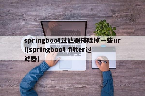 springboot过滤器排除掉一些url(springboot filter过滤器)  第1张