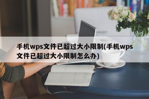 手机wps文件已超过大小限制(手机wps文件已超过大小限制怎么办)  第1张