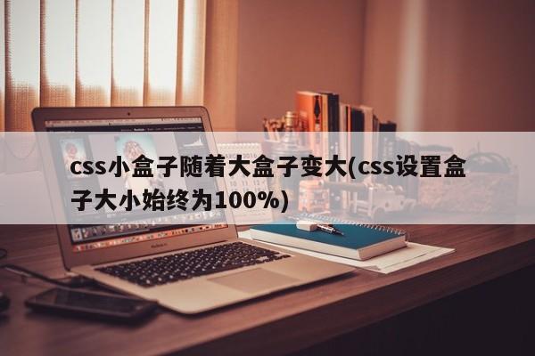 css小盒子随着大盒子变大(css设置盒子大小始终为100%)  第1张