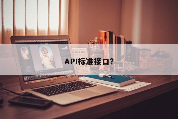 API标准接口？  第1张