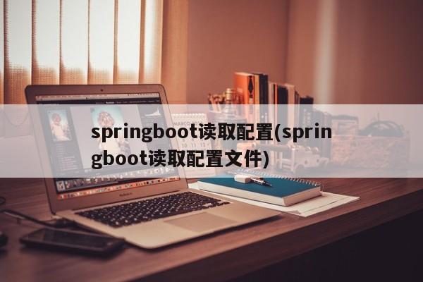 springboot读取配置(springboot读取配置文件)  第1张