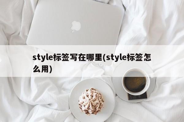 style标签写在哪里(style标签怎么用)  第1张