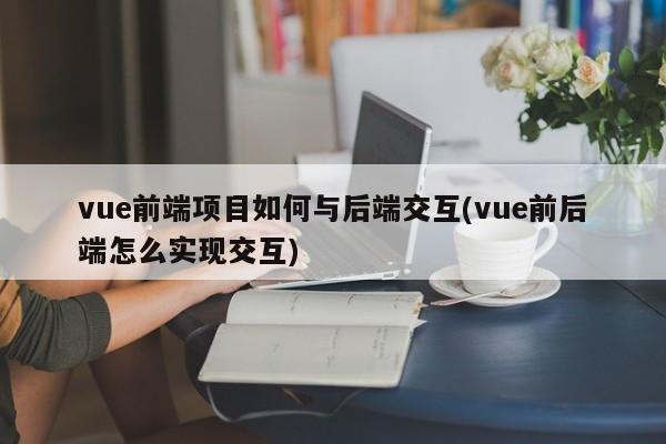 vue前端项目如何与后端交互(vue前后端怎么实现交互)  第1张