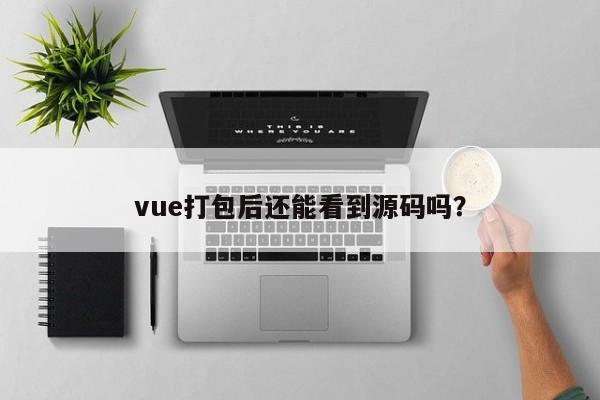 vue打包后还能看到源码吗？  第1张